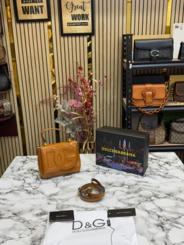 Dolce  &  Gabbana  lacquered  bag  mini  DG Logo  (Brown)