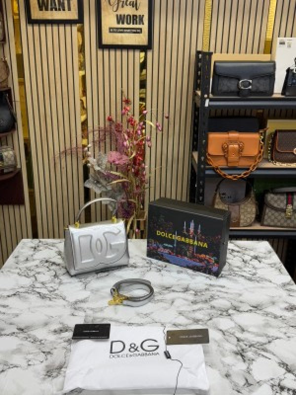 Dolce  &  Gabbana  lacquered  bag  mini  DG Logo  (Silver)