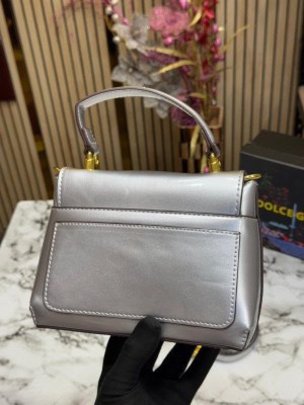Dolce  &  Gabbana  lacquered  bag  mini  DG Logo  (Silver)