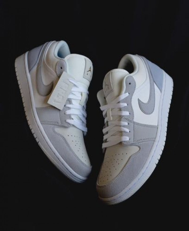 Nikee Air Jordan 1 Low Paris