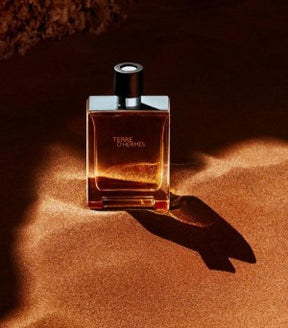 Hermes Paris Terre D Hermes EDT 100ML (431)