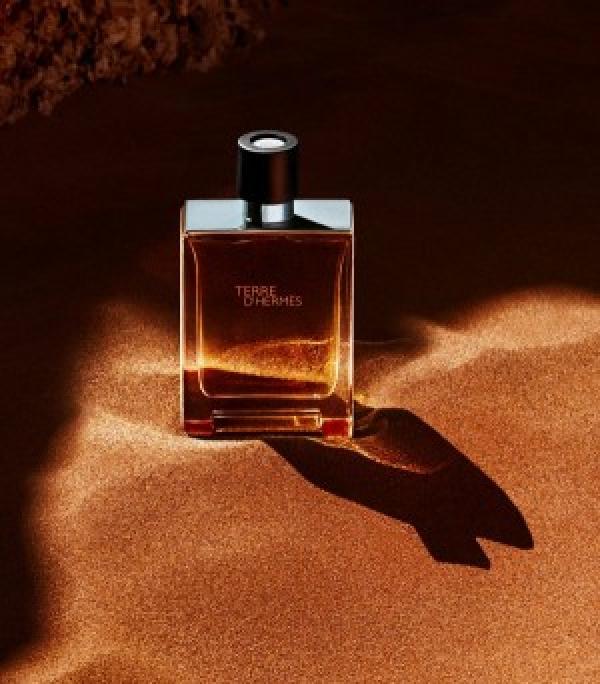 Hermes Paris Terre D Hermes EDT 100ML (431)