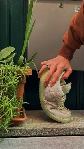 nikee sb dunk low mummy 765