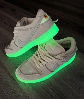 nikee sb dunk low mummy 765