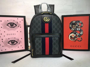 Gucci  GG  small  backpack  with  dust  bag