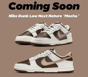 Nikee Dunk Low Next Nature Baroque Brown