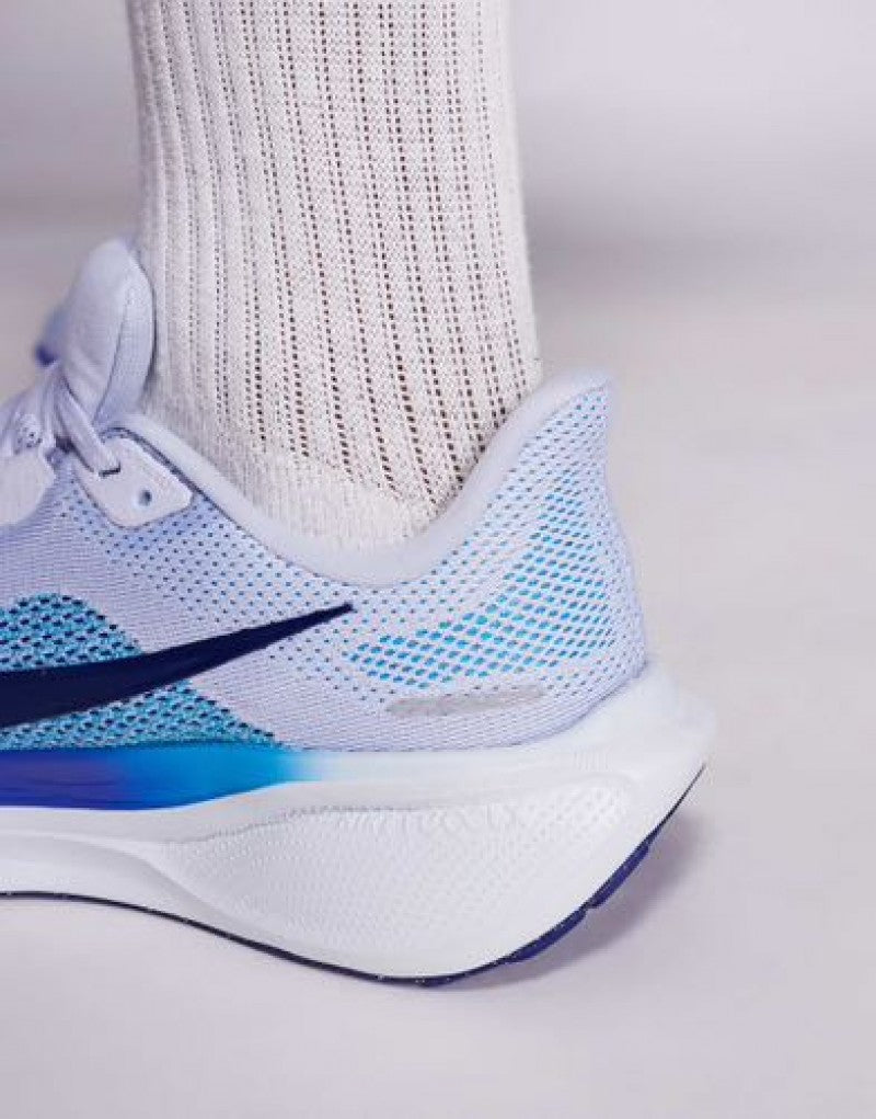 E zoom pegasus 41 sky blue