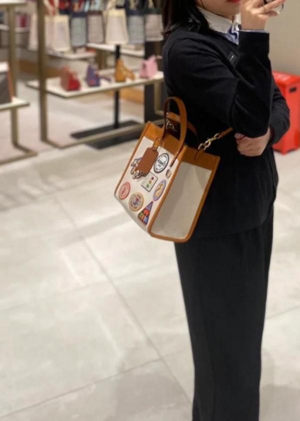 Coach  luxury    rainbow  field  small tote bag  with  og  double box