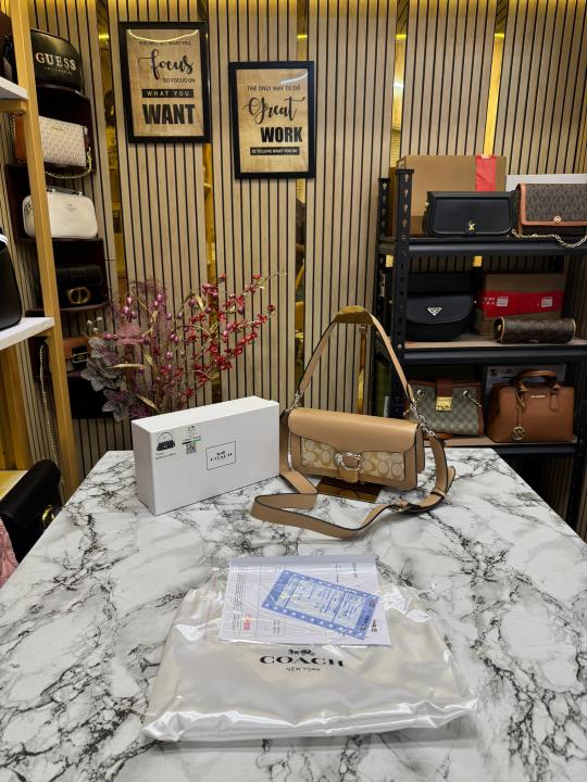 COAC  H TABBY SHOULDER BAG WITH OG BOX AND DUST BAG (Khaki)
