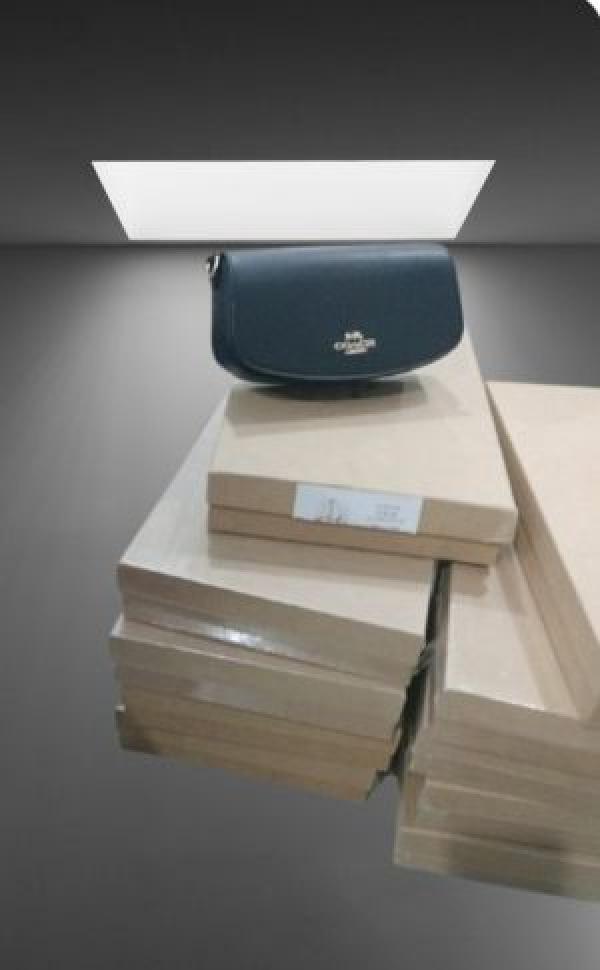 Coach  andrea  shouder  bag  with  box  5303