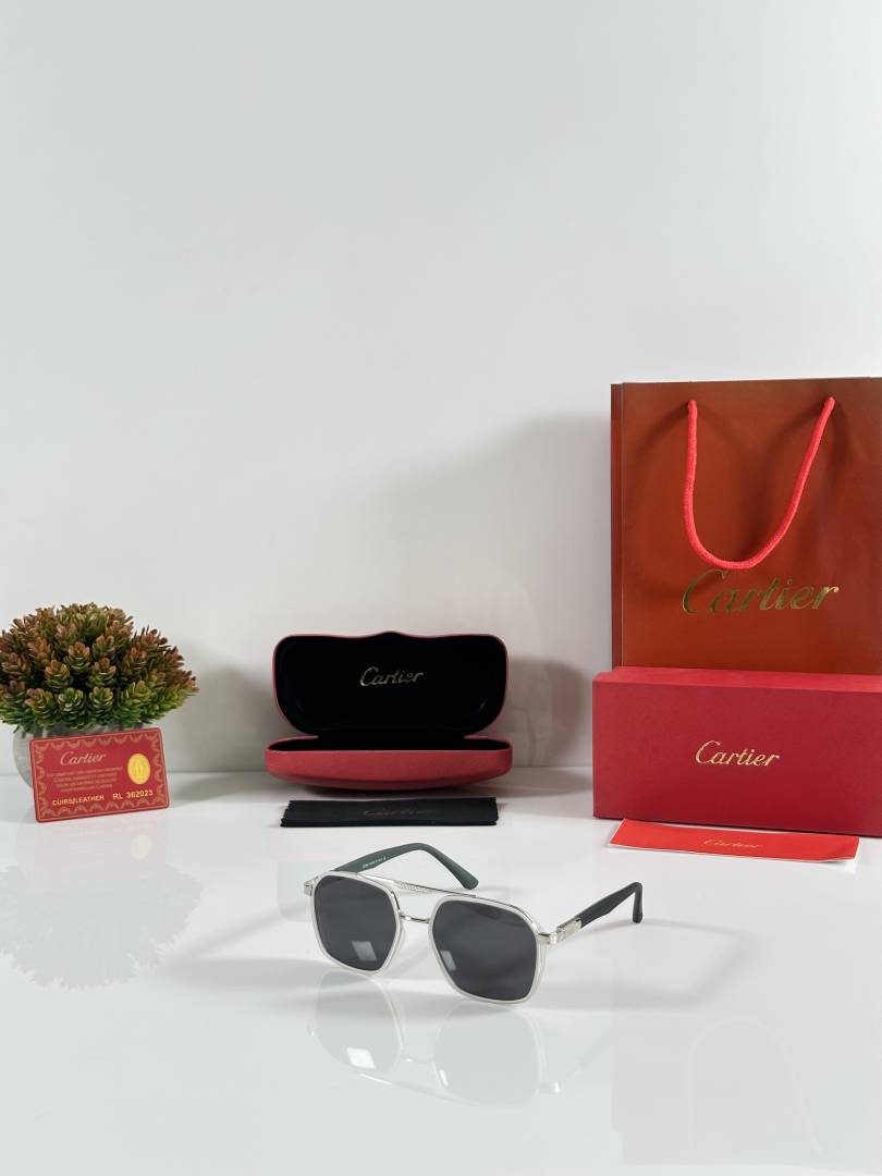 Cartier 1901 Ice Black