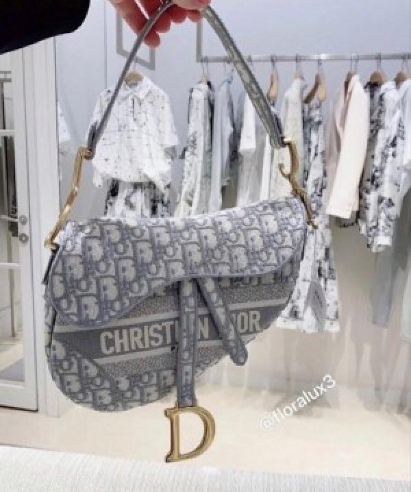 Christian  Dior  Saddle  Grey  Bag  With  Box  Bill  Dust  Bag  &  Sling  Belt  carrybag  554