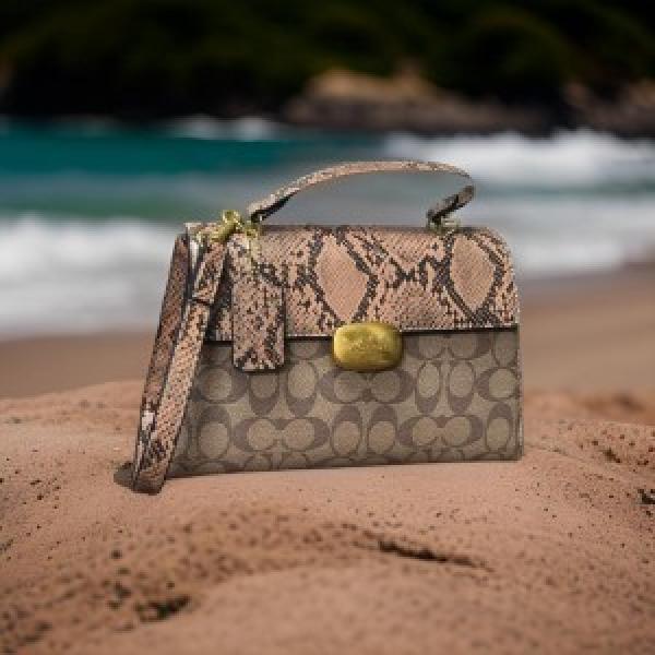 coach  crossbody  lady  bed  with  box  1387