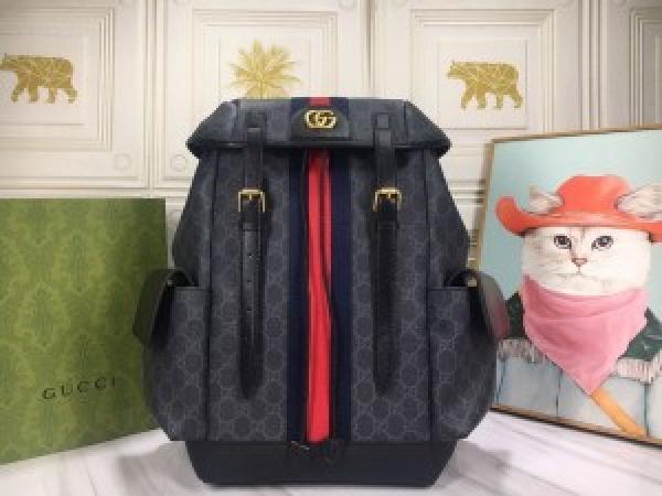 Gucci ophidia gg back pack premium quality unisex with dust bag 955