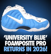 Nik ee Air Foamposite Pro University Blue 403