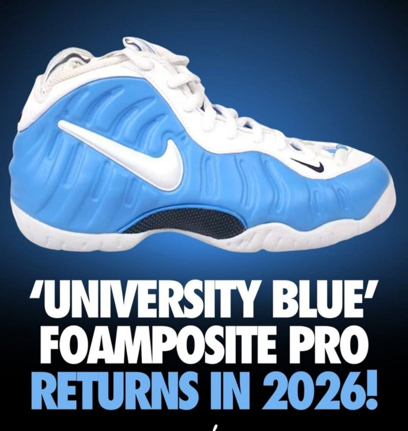 Nik ee Air Foamposite Pro University Blue 403