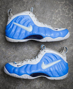 Nik ee Air Foamposite Pro University Blue 403
