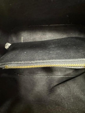 louis  vuitton neonoe shoulder bag with og box and dust bag premium quality