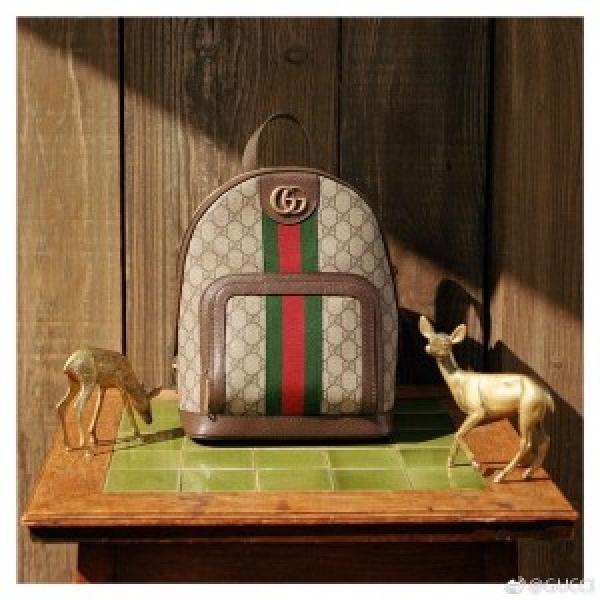 Gucci  Ophidia  GG  Small  Backpack  Unisex  With  DustBag  1603