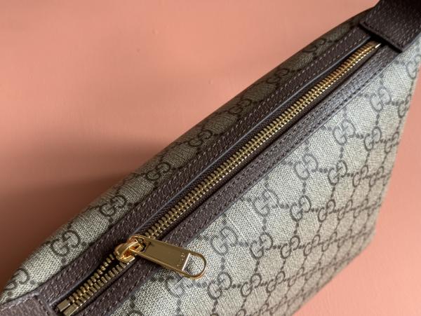 Gucci  Ophidia  GG  Shoulder  Bag  With  OG  Red  Box  795170