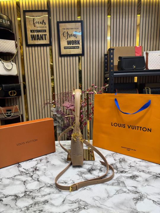 Louis  Vuitton Pochette With Box And Dust Bag Including Carry Bag (Khaki)