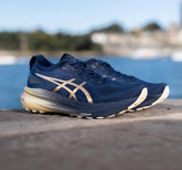 S gel kayano 31 platinum