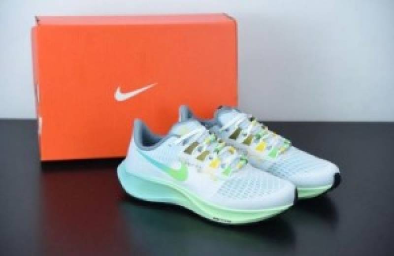 Nike Zoom pegasus 37