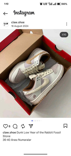 Nikee Dunk Low Year Of The Rabbit