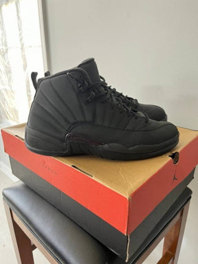 Nik.ee Air Jordan Retro 12 Winterized Triple Black