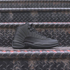Nik.ee Air Jordan Retro 12 Winterized Triple Black