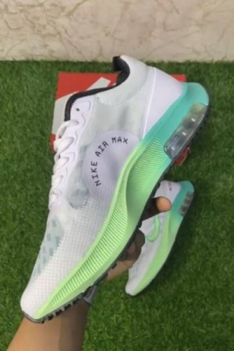 Nike Air zoom winflo 1 running