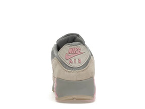 AIR MAX 90 VAST GREY PINK