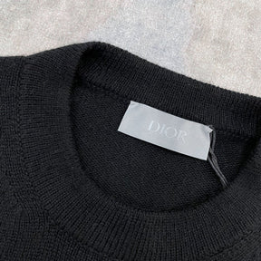 Dior Shirt 012411