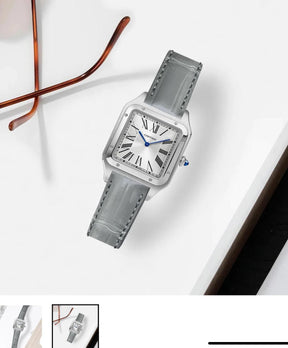 CARTIER Santos Dumont LAQUER
