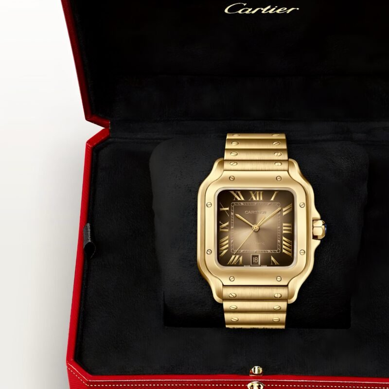 Cartier Santos Gold Elegant