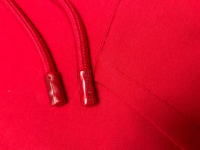LV Hoodie 102011
