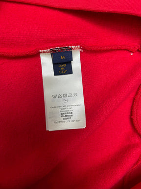 LV Hoodie 102011