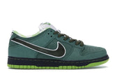 SB DNK LOW CONCEPTS GREEN LOBSTER